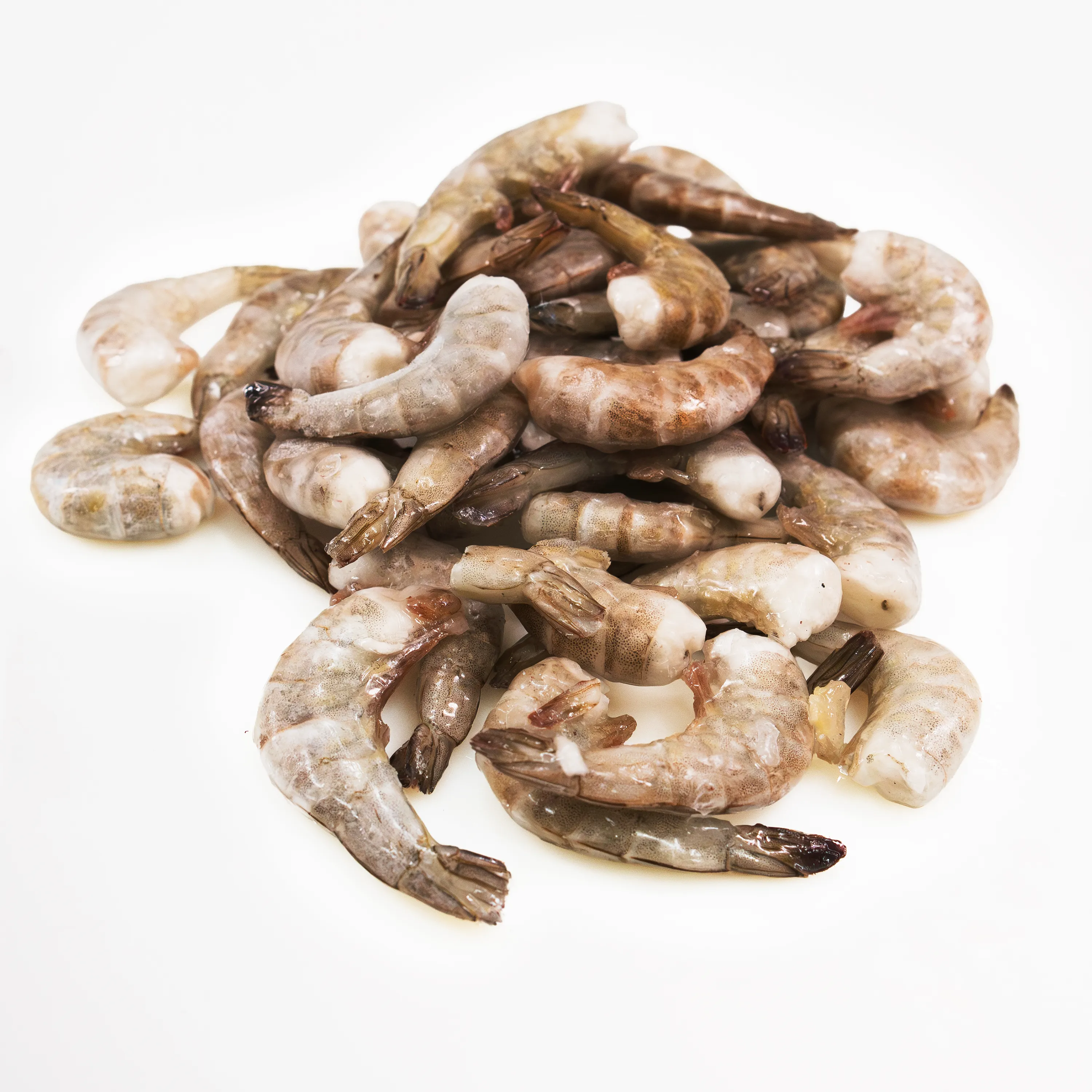 Shrimp vannamei 51_60 S_cabeca